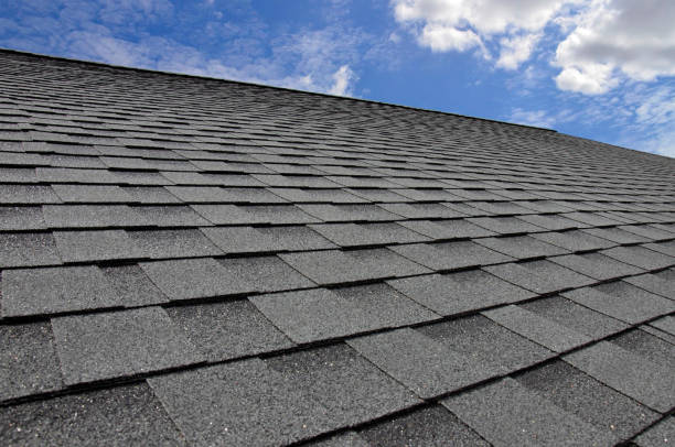 Best Roof Insulation Installation  in Shawneetown, IL